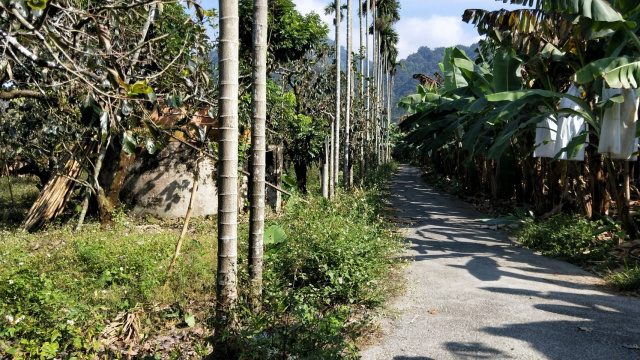 番路鄉埔尾漂亮農建地-B0312