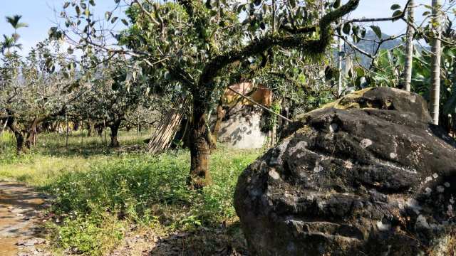 番路鄉埔尾漂亮農建地-B0312