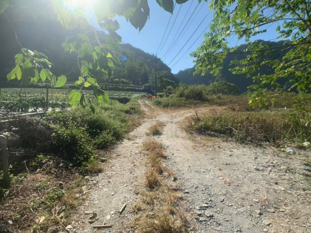武界原保地