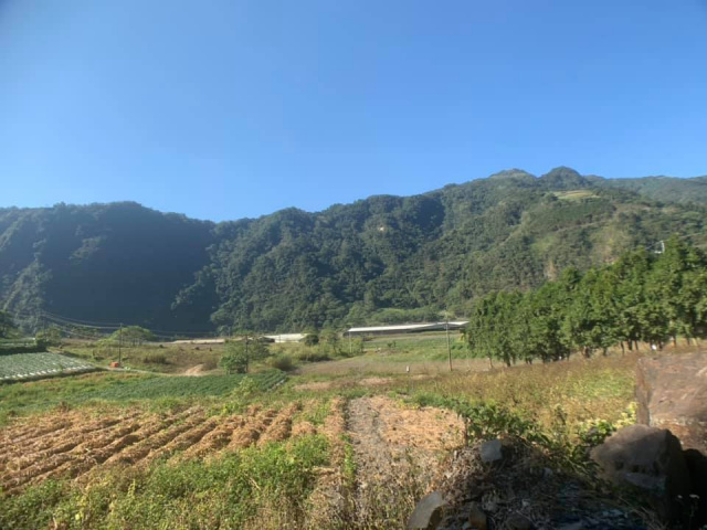 武界原保地
