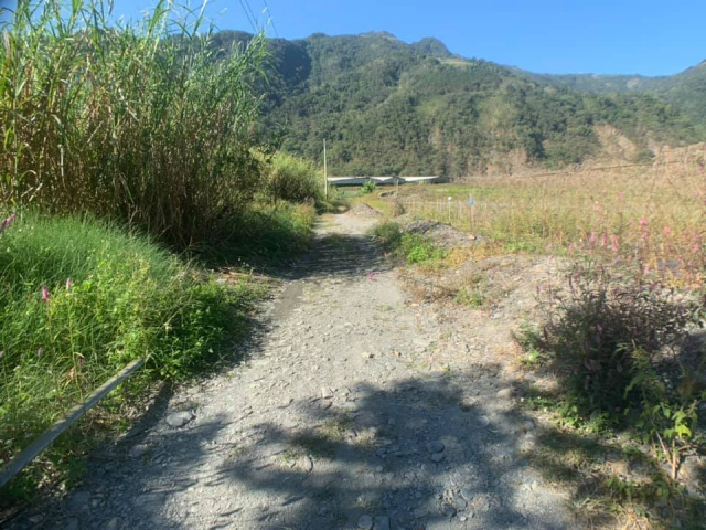 武界原保地
