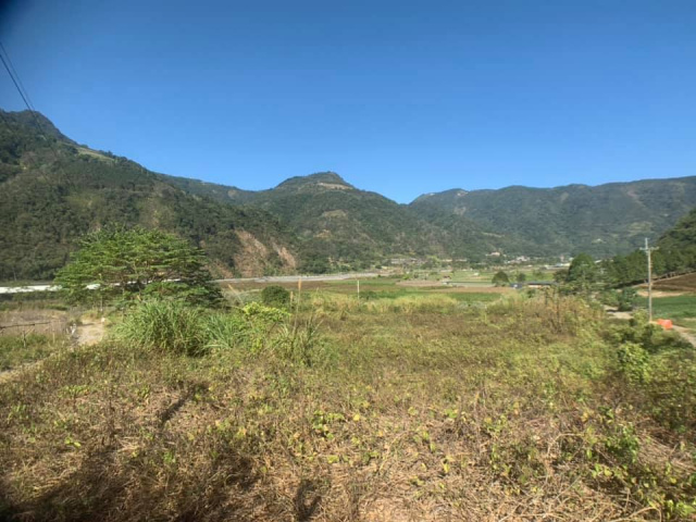 武界原保地