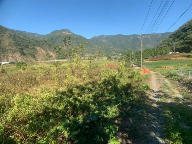 武界原保地