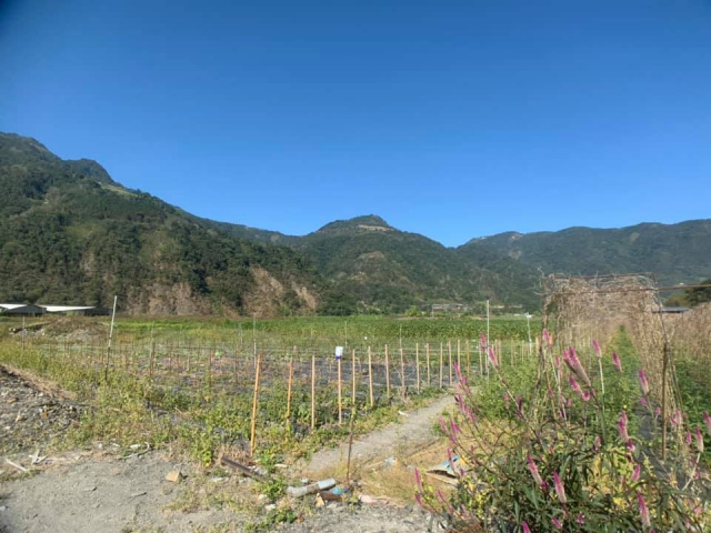 武界原保地