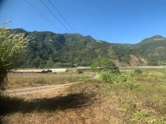 武界原保地