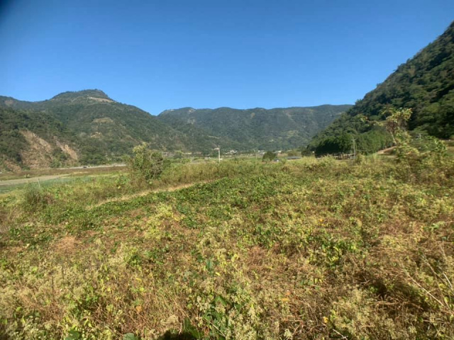 武界原保地