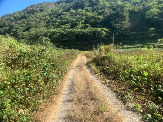 武界原保地