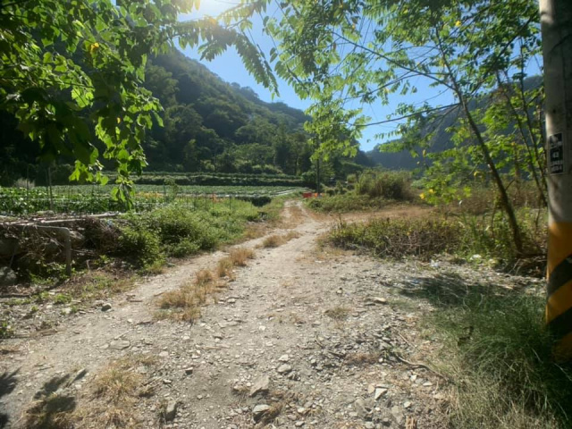 武界原保地