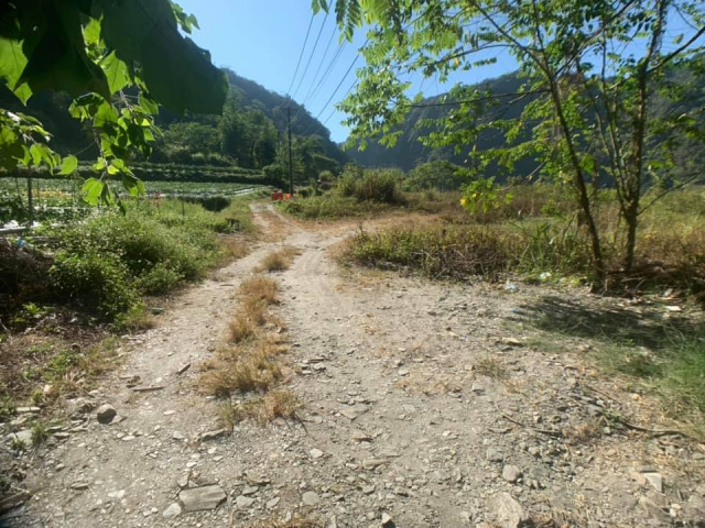 武界原保地