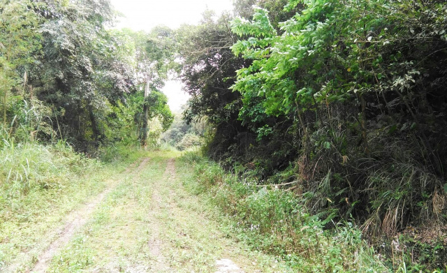 苗栗交流道旁農建地-B0303