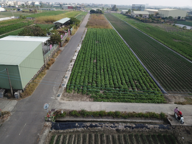 安南區土城聖母廟雙面路美田