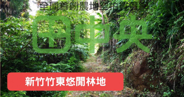 五指山巨木巧石悠閒林地