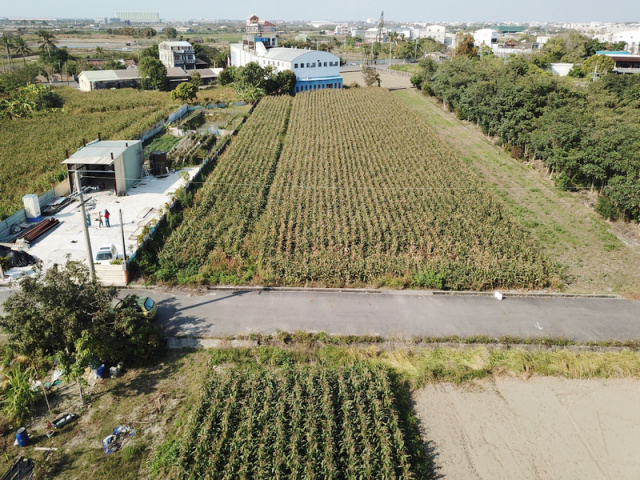 七股昭明國中旁休閒農地