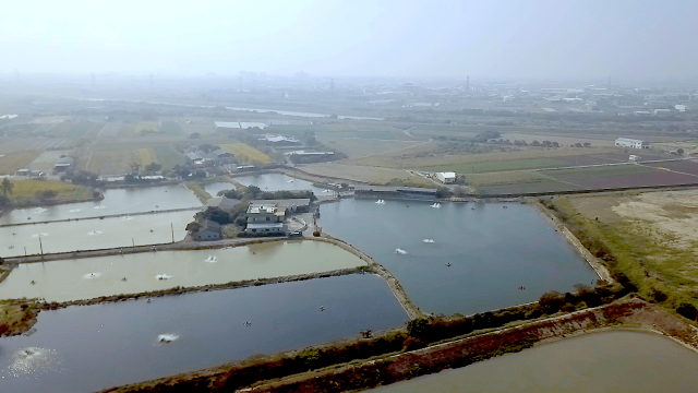 兩甲半大面積 已建有農舍 養殖業首選 中洲仁德超大養殖用地