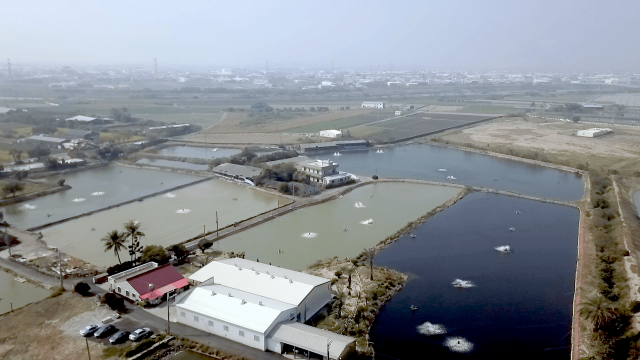 兩甲半大面積 已建有農舍 養殖業首選 中洲仁德超大養殖用地