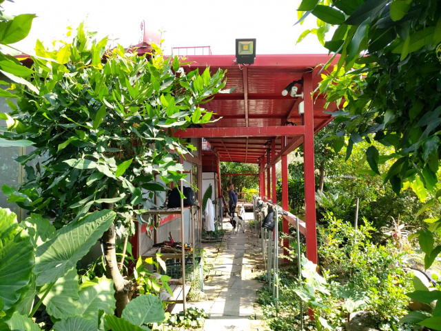 路竹田園快樂農地