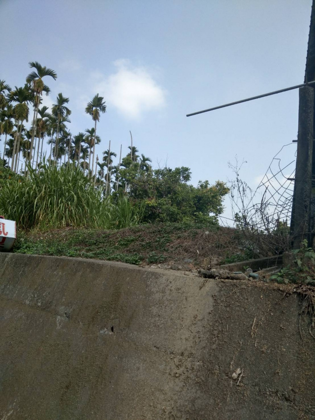 名間--集集《龍泉火車站》台16名水路【大馬路農地】