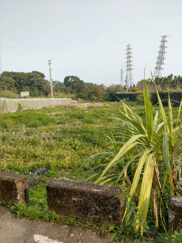 名間市區【都計農地】近濁水火車站《急賣》