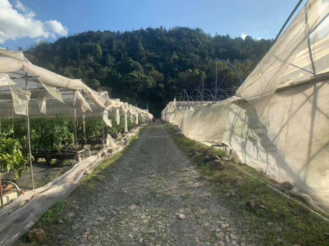 鯉魚潭一甲三農地