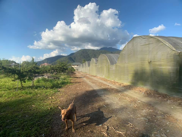 鯉魚潭一甲三農地