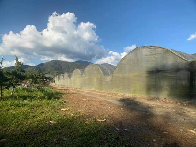 鯉魚潭一甲三農地