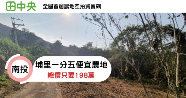 桃米一分五農地