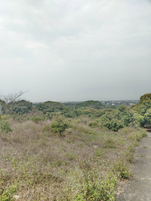 彰縣.田中鎮.山腳路「農地可買一半」市區近、便利、視野不錯