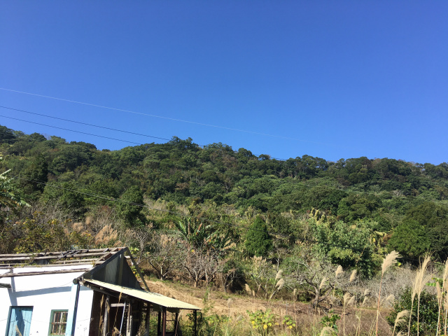 公館鄉“農地+建地”開礦村,海拔500米