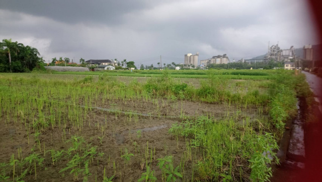 大崗山下田園快樂農地