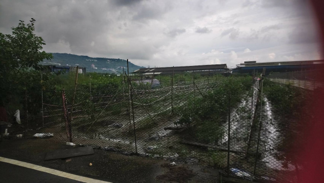 大崗山下田園快樂農地