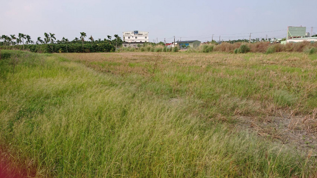 屏東新園持分快樂農地