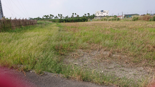 屏東新園持分快樂農地