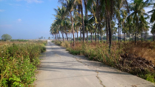 阿蓮土庫養生農地