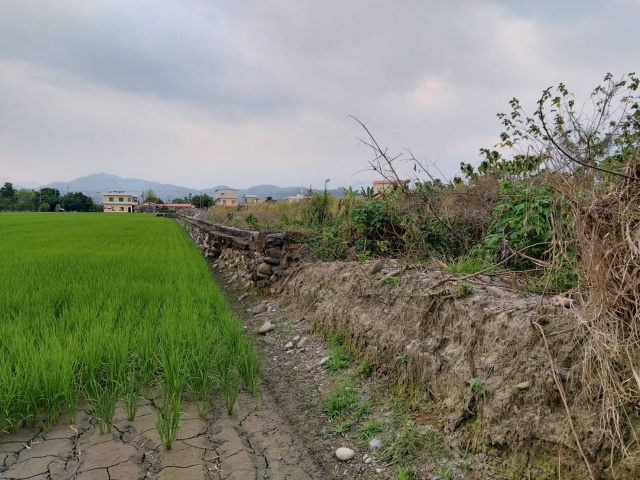 美濃龍肚鄉村田園水農地