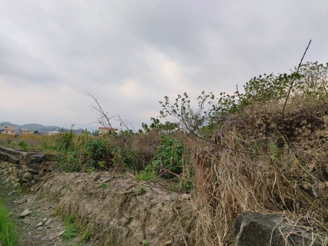 美濃龍肚鄉村田園水農地