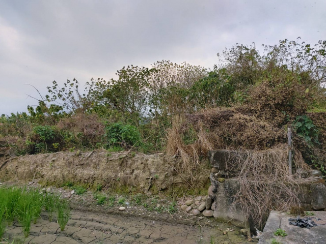 美濃龍肚鄉村田園水農地