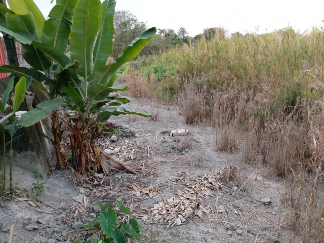 美濃龍肚鄉村田園水農地