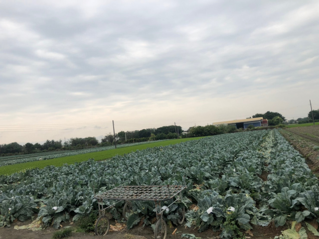 埔鹽方正農地