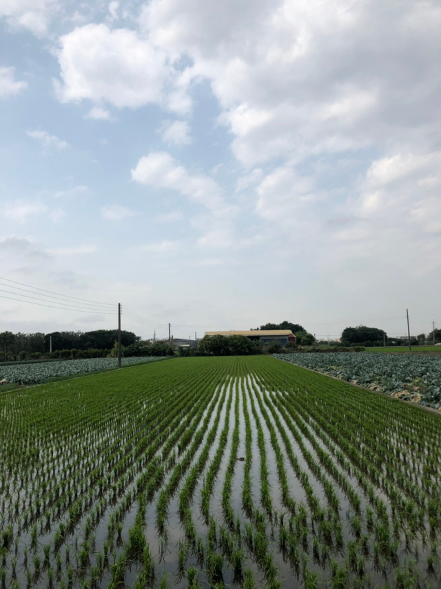 埔鹽方正農地