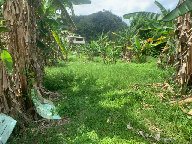 南村小農地
