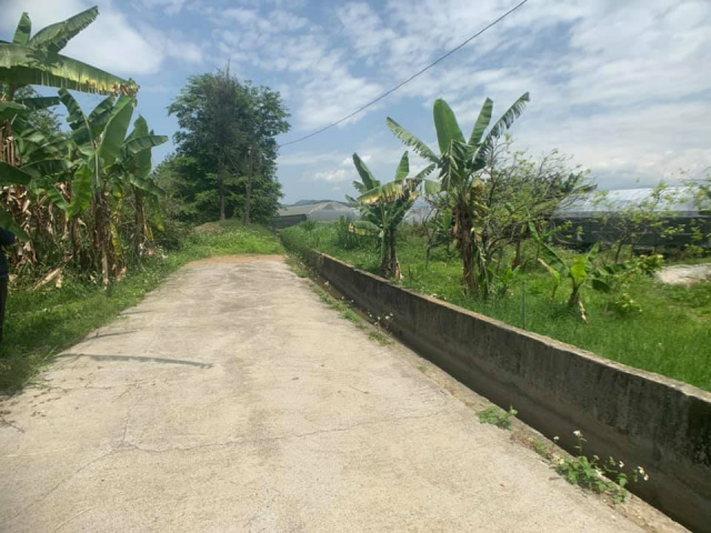 南村小農地