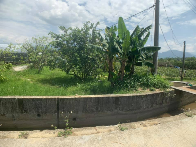 南村小農地