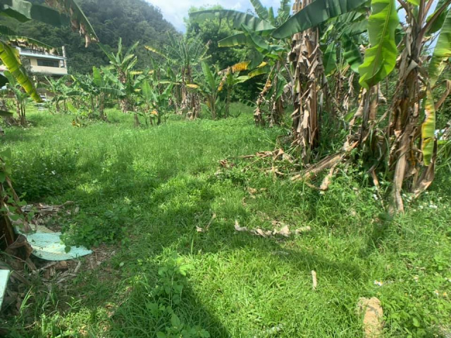 南村小農地