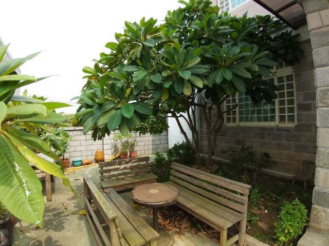 新屋市區農舍