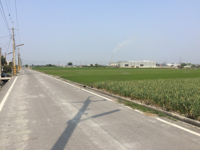 莿桐麻園農地
