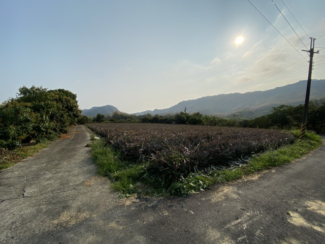 內門溝坪國小3.28分農地