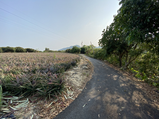 內門溝坪國小3.28分農地