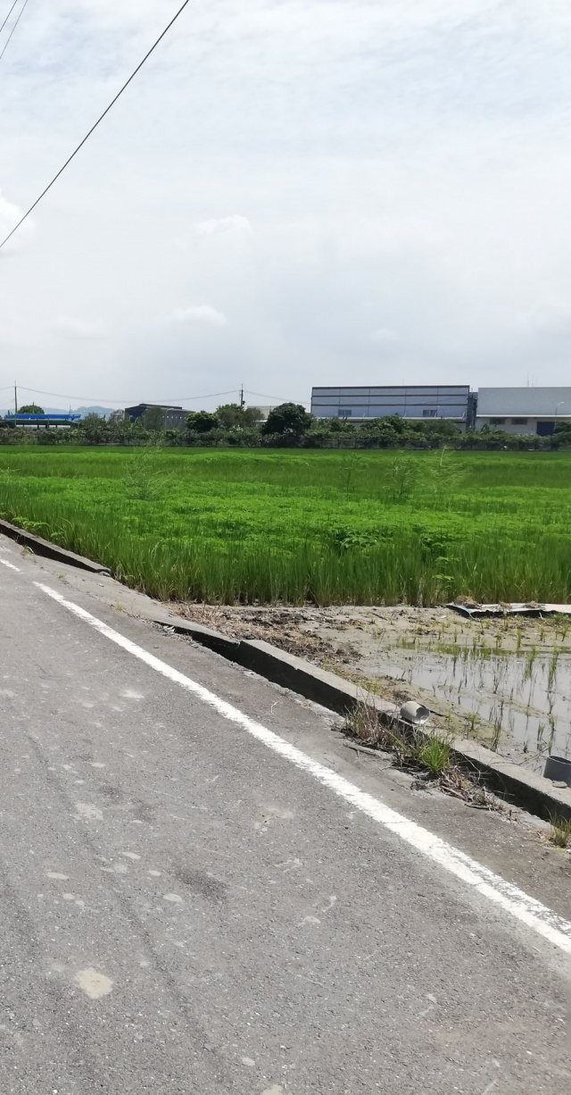 高雄~橋頭頂塩田農地