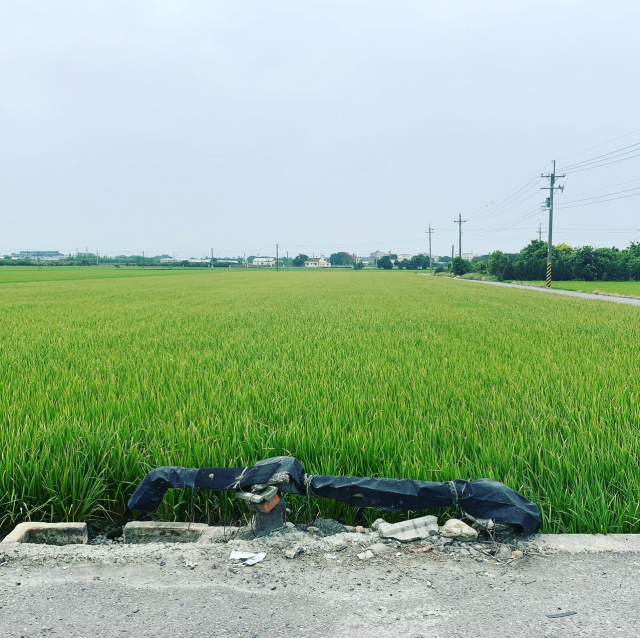 莿桐鄉麻園段三面路農地