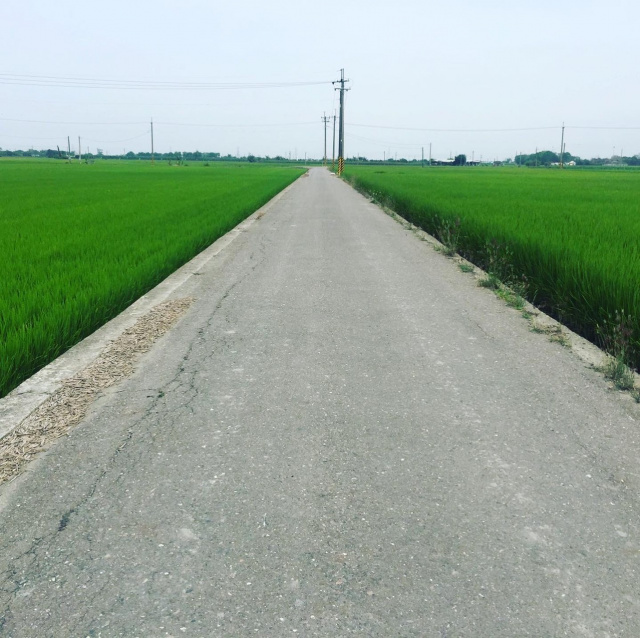 莿桐鄉麻園段三面路農地